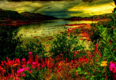 artistic riverscape hdr - artistic, clouds, river, flowers, hdr