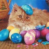 A easter kitten with color eggs