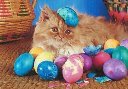 A easter kitten with color eggs - eggs, easter, kitten, feline, cute, color