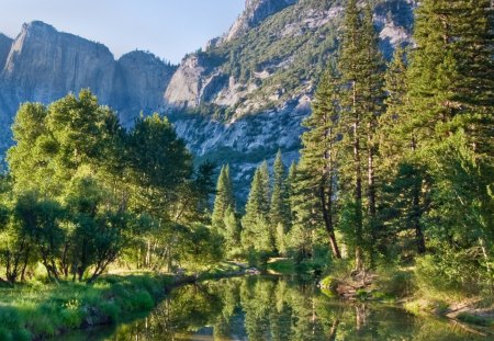 perfect spot for a beautiful river - ountain, forest, reflection, river