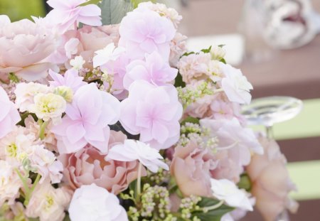 Delicate flowers - delicate, pink, petals, soft, beauty, flowers