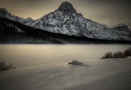 a drunk animal walking by a mighty mountain - winter, lake, footprints, forest, mountain