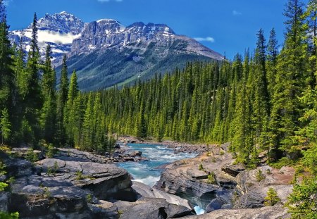 gorgeous river gorge - gorge, forest, river, mountains, rocks