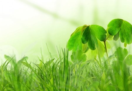 *** Absolutly beautiful spring *** - greens, fresh, nature, spring, leaves