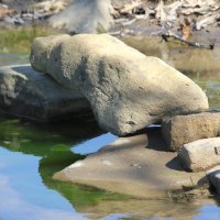 Rock landscape