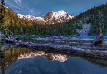 logs in amazing lakescape hdr - lake, forest, mountains, reflection, hdr, logs