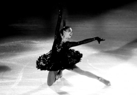 Black swan on ice - new, image, wallpaper, color