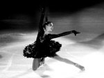 Black swan on ice