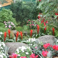 A day with my camera at the Pyramids 29