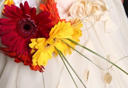 Flowers - red, petals, flowers, daisies, yellow