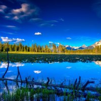 log in a beautiful lake hdr