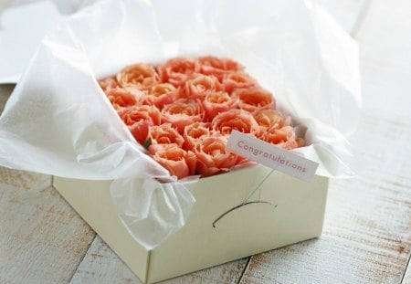 Box of flowers - flowers, box, petals, buds