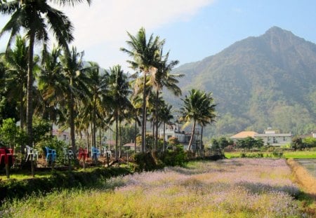 rural scenery - trees, grasses, scenery, Plastic Chairs, mountain, rural