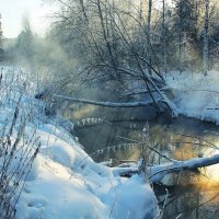 broken trees in river in winter