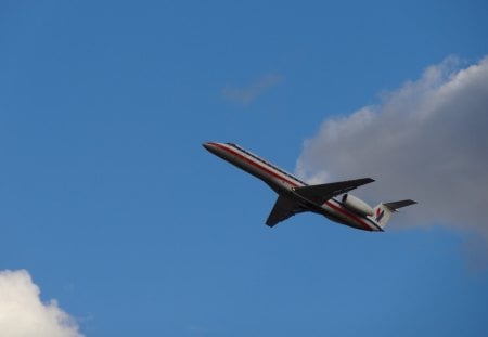 Airbus Amongst the Clouds - sky, cloud, clouds, plane, airbus