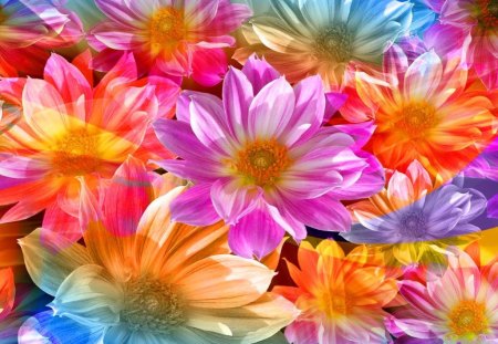 Burst of spring - purple, pink, flowers, gold, orange, colors, blue