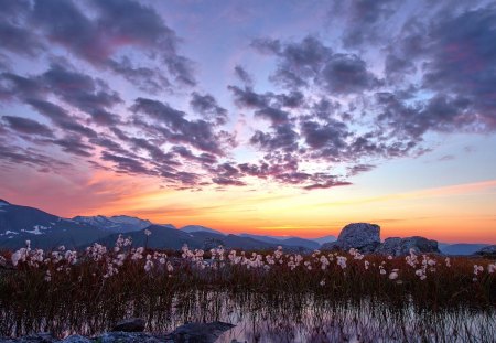 lavender sky in winter landscape - clouds, winter, cotton, mountains, sky