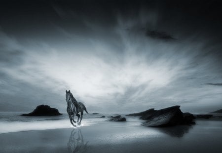 Forever Twilight - abstract, ocean, horse, fantas