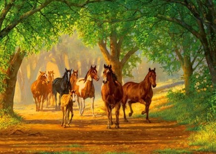 Country lane horses - pretty, sunny, summer, forest, path, lane, nice, trees, beautiful, road, lovely, glow, horses, rays, painting, bunch, country