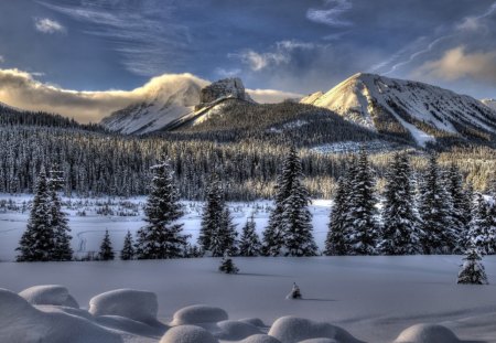 amazing winter landscape hdr - forest, mountains, winter, clouds, hdr