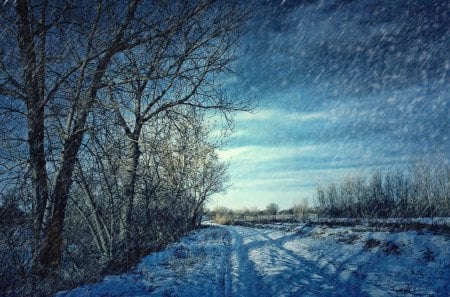 snowing in the countryside hdr - fence, trees, winter, hdr, tracks, snowing