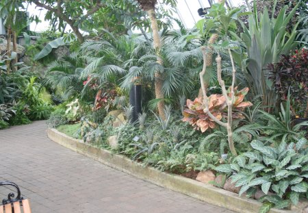 A great day to visit Edmonton Pyramids 01 - brown, pineapple, trees, photography, green, flowers, plants, garden