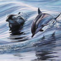 *** Dolphins - painting ***