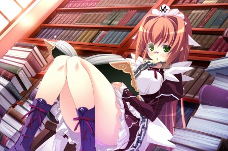 Library Girl - library, girl, game, books, cute, cg