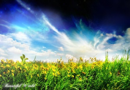 ~Beauty of nature~ - beauty, field, flower, nature