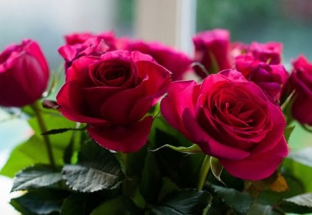 *** Bouquet of red roses ***