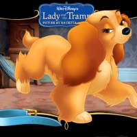 Lady From Lady And The Tramp