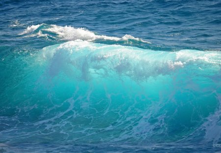 Big  Wave. - white, water, 55, green