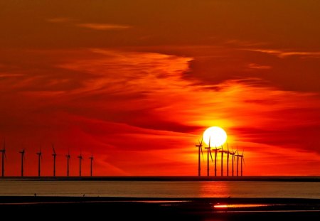 SUMMER SUNSET - sky, popular, landscape, sun, wallpaper, sunset, nature, wind turbines, sunsets, orange, sea