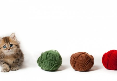 Waiting for friends - red, animal, cute, cat, ball of wool, white, brown, kitten, green