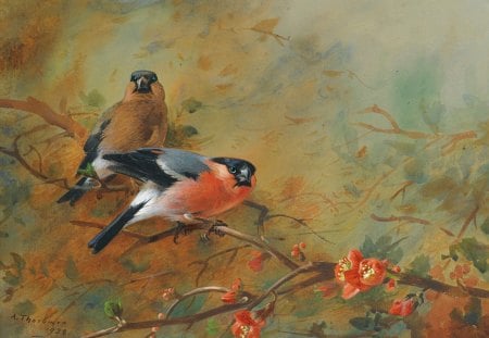 A goldfinch pair on a branch by Archibald Thorburn - bird, goldfinch, pair, spring, flower, orange, bloom, archibald thorburn, nature, red, green, painting, couple, art