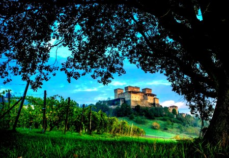 ITALY, Emilia Romagna , Lesignano de 'Bagni - italy, landscape, emilia romagna, tree, house, lesignano de bagni