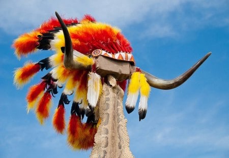 Headdress - colors, headdress, native, feathers