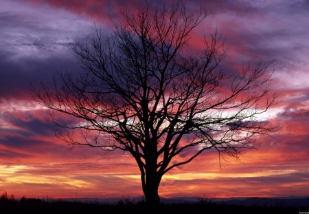 sky beauty - sunset, evening