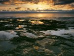 sea rocks beach 