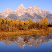 grand reflection  grand teton national park  wyoming