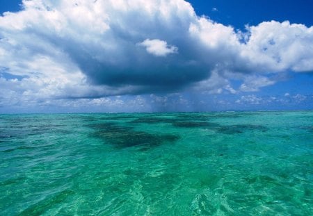 island of tahaa  french polynesia - sea, sky, above