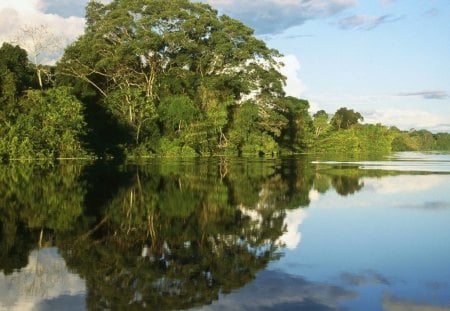 Pacaya Samiria National Peserve Amazonia Peru - landscape, beauty, nature