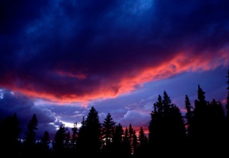 ANGRY CLOUDS - nature, sky, trees