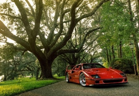 Ferrari F40 - f40, ferrari, tuning, car