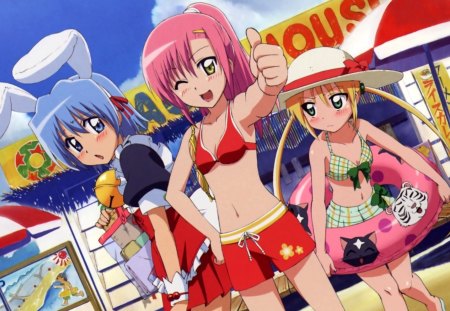 Hayate no Gotoku - anime, summer, beach, bikini, hinagiku, hayete no gotoku, nagi