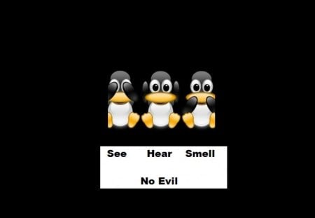 No Evil - white, penguins, evil, funny, black