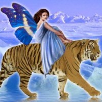 fairy and tiger