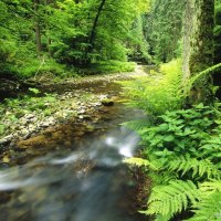 Polenz Sachsische Schweiz National Park Germany