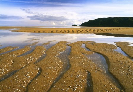 Ripples and Reflections Abel Tasman National Park South Island New Zealand - nature, beauty, landscape