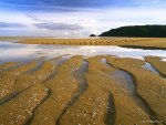 Ripples and Reflections Abel Tasman National Park South Island New Zealand